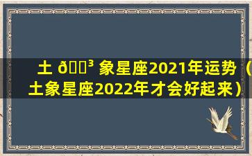 土 🐳 象星座2021年运势（土象星座2022年才会好起来）